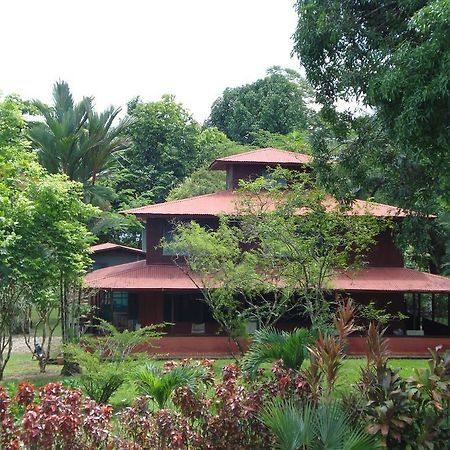 Hotel Veragua River House Sierpe Extérieur photo