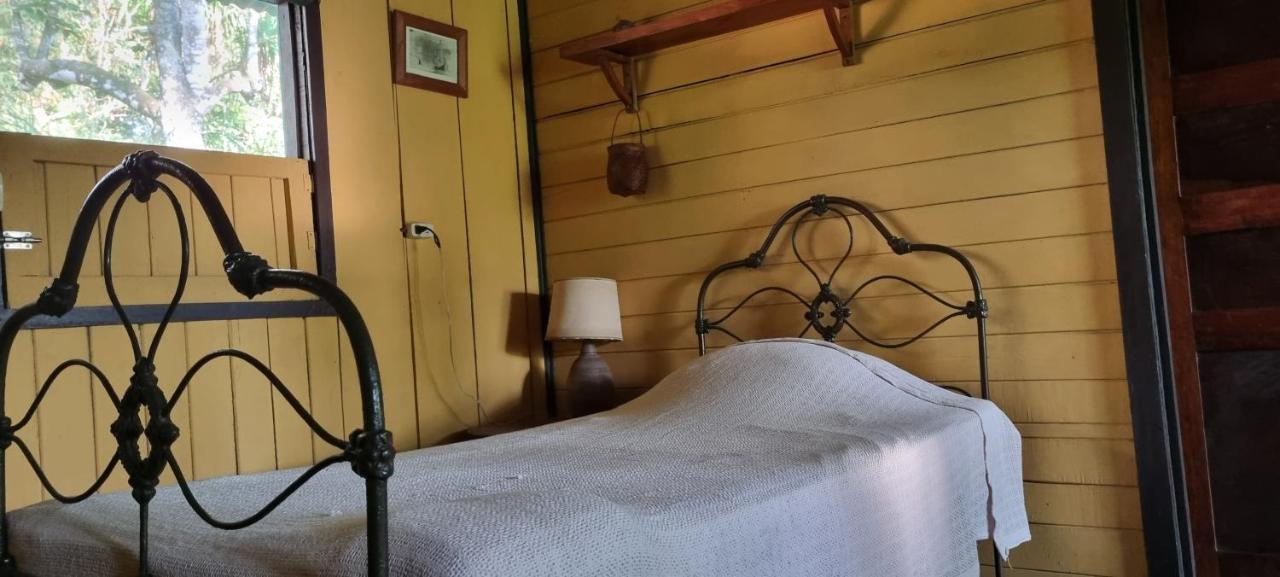 Hotel Veragua River House Sierpe Extérieur photo