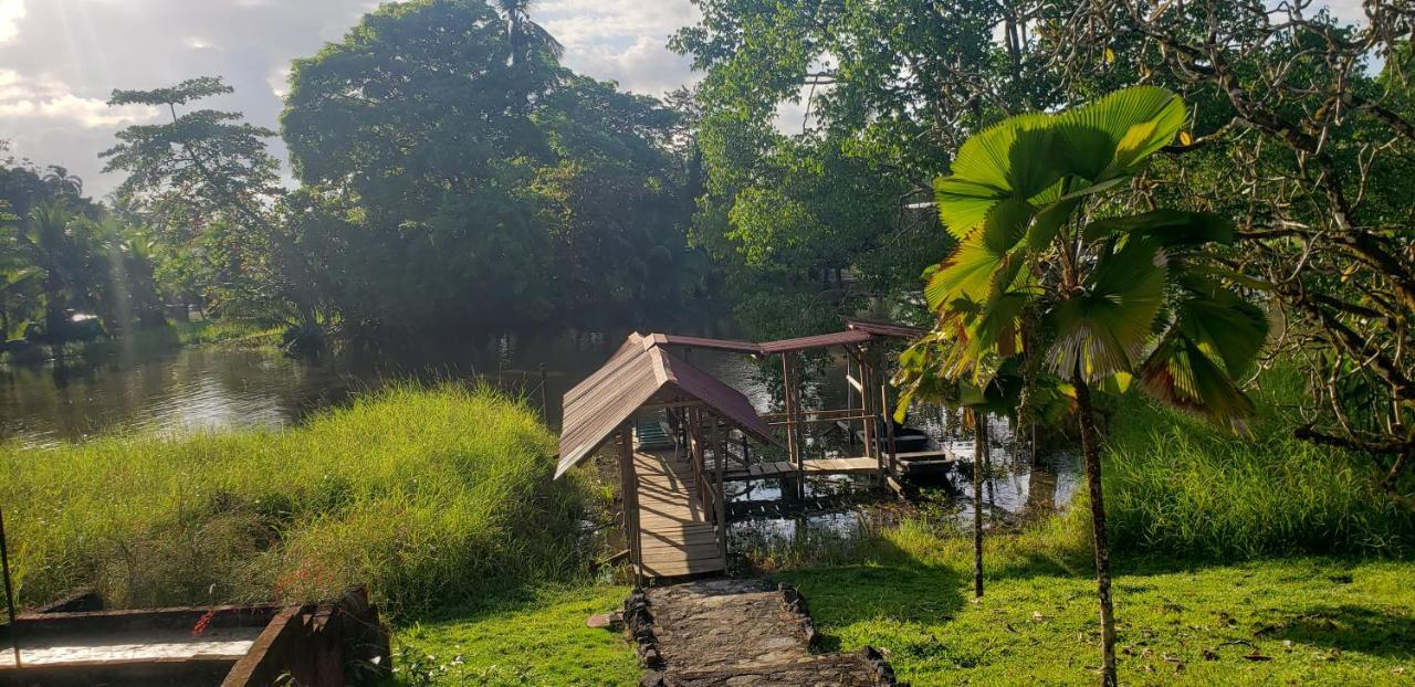 Hotel Veragua River House Sierpe Extérieur photo