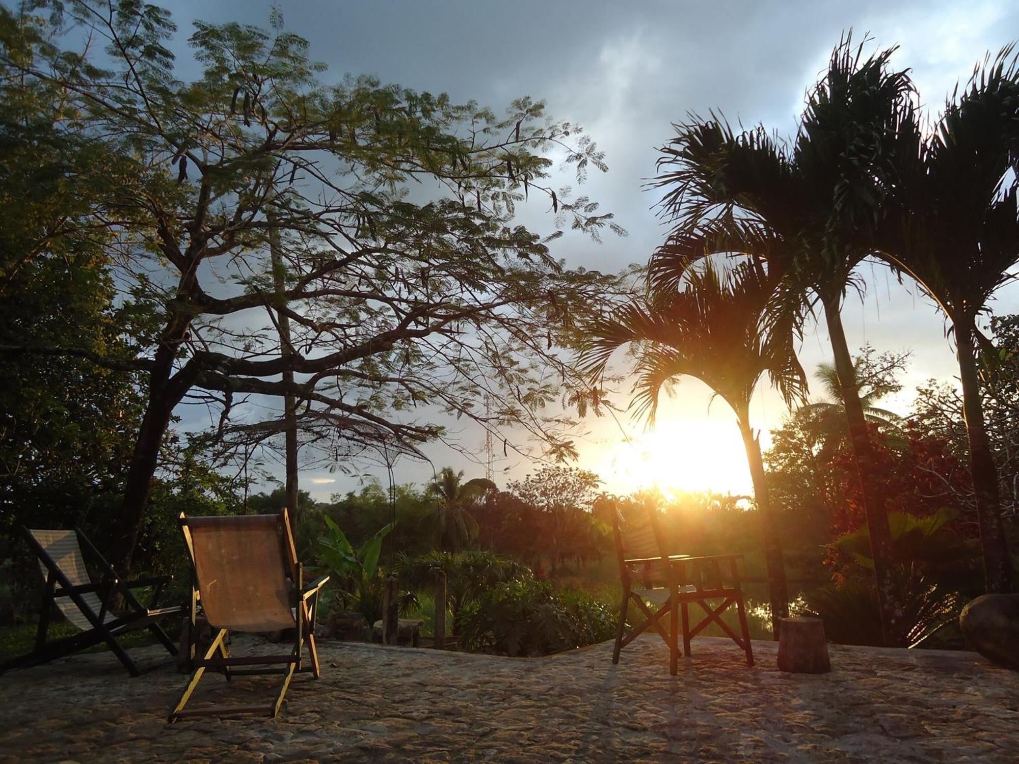 Hotel Veragua River House Sierpe Extérieur photo
