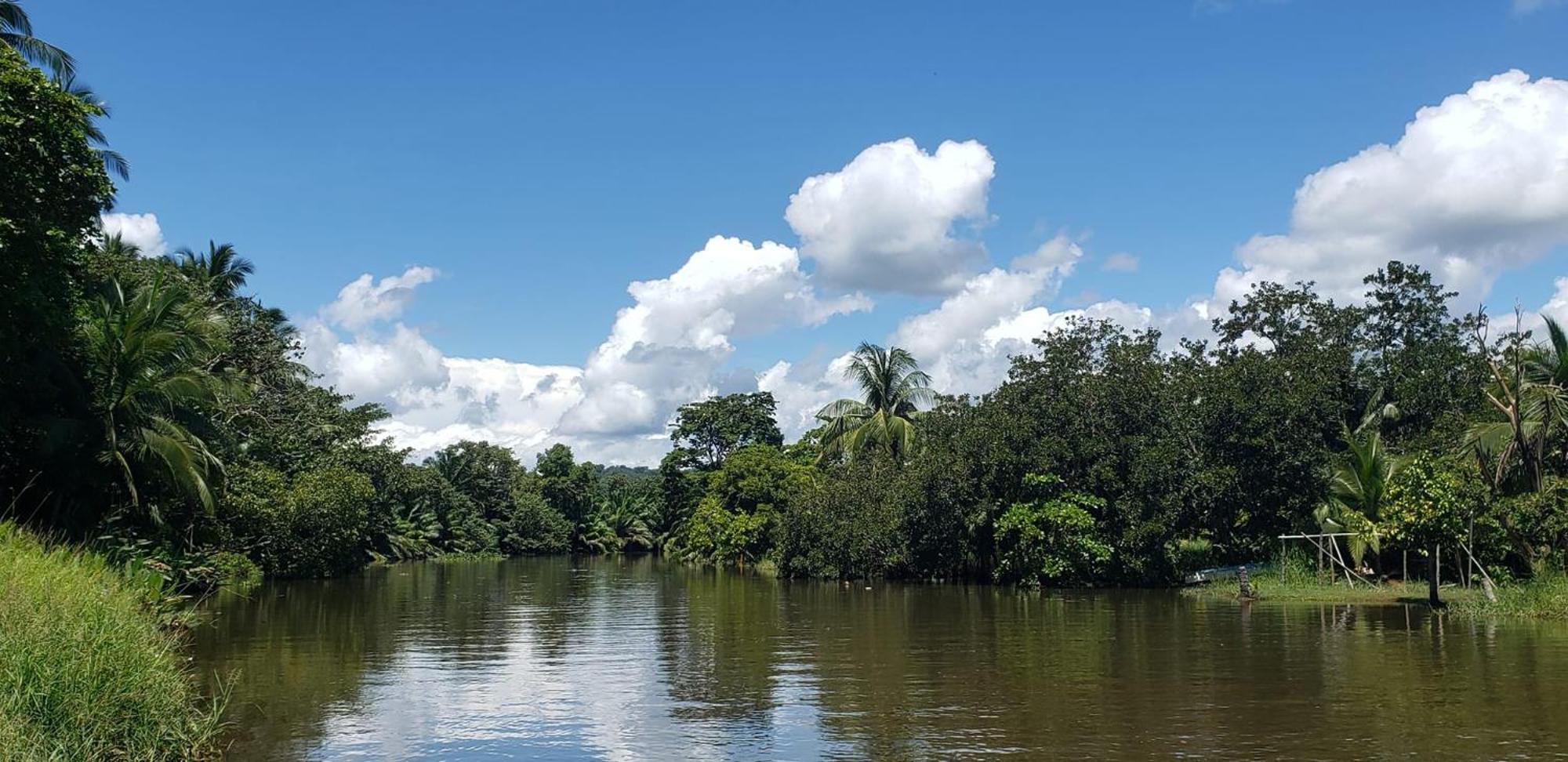 Hotel Veragua River House Sierpe Extérieur photo