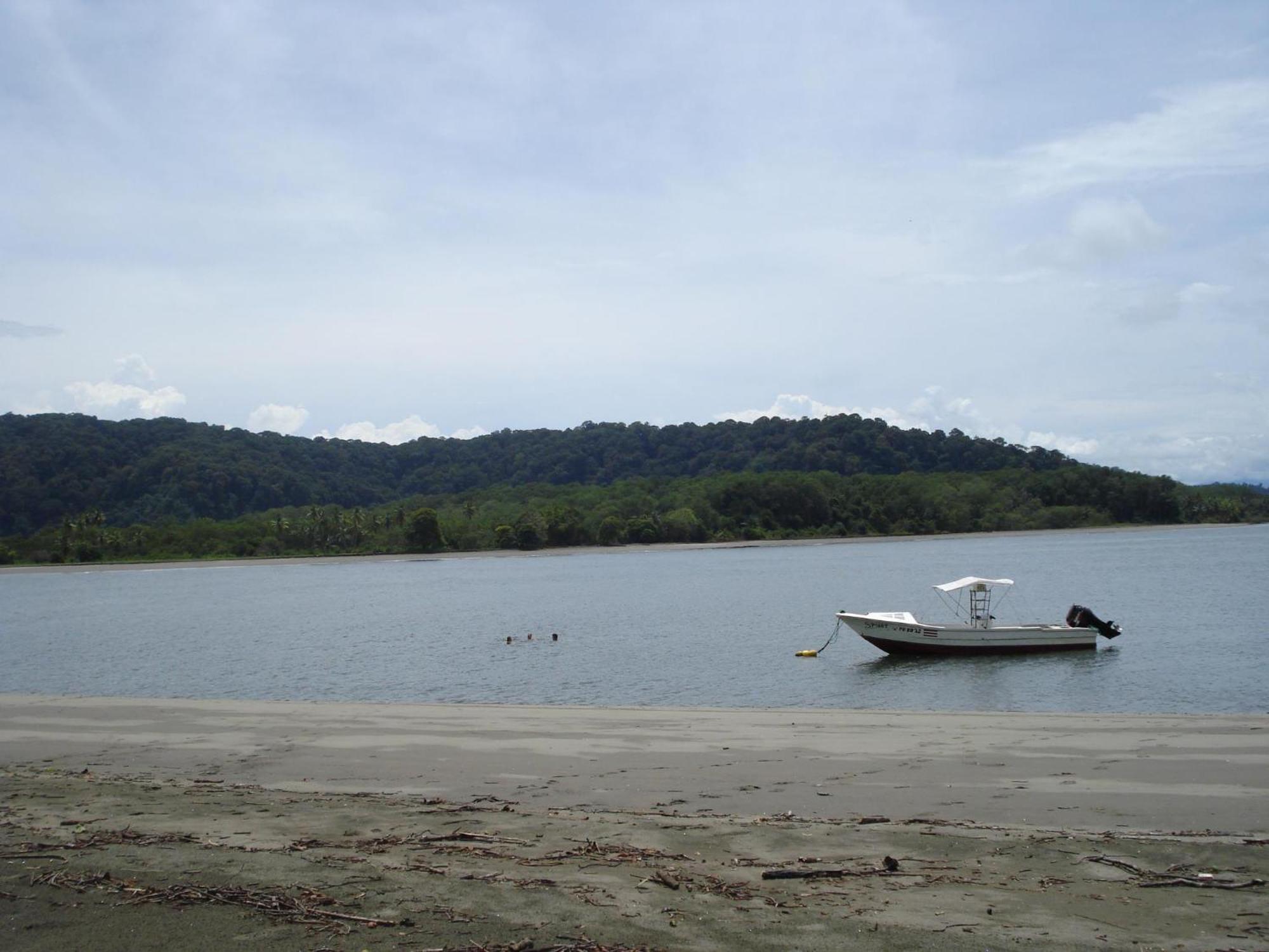 Hotel Veragua River House Sierpe Extérieur photo