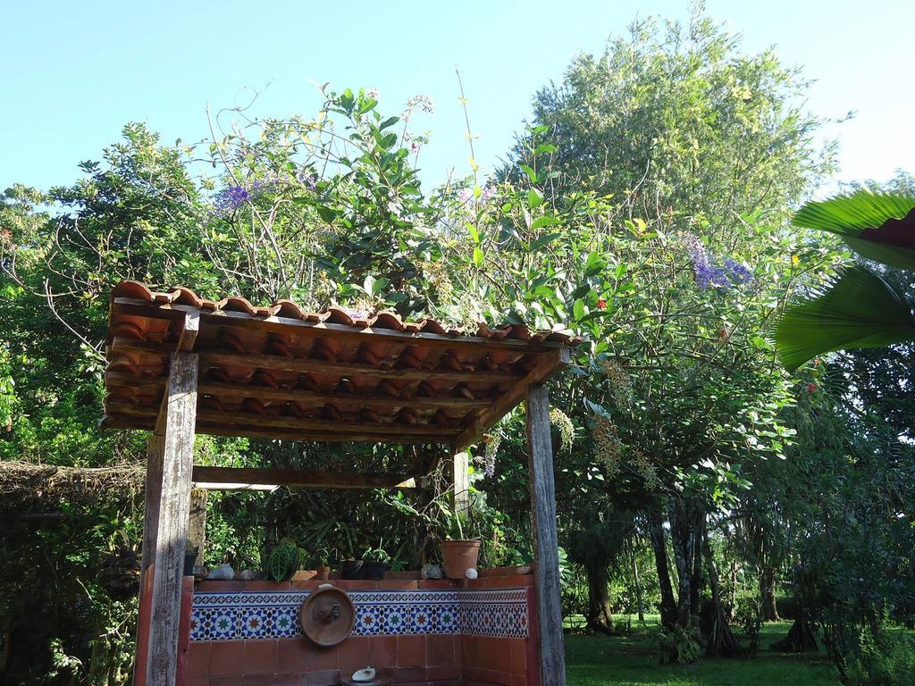 Hotel Veragua River House Sierpe Extérieur photo