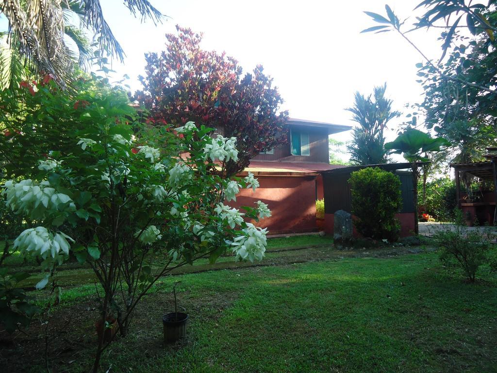Hotel Veragua River House Sierpe Extérieur photo