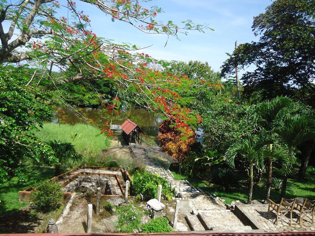 Hotel Veragua River House Sierpe Extérieur photo