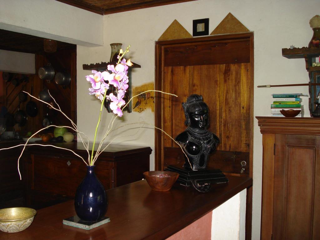 Hotel Veragua River House Sierpe Extérieur photo