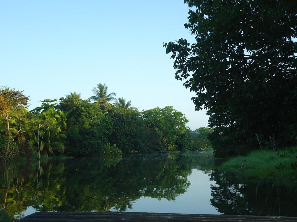 Hotel Veragua River House Sierpe Extérieur photo